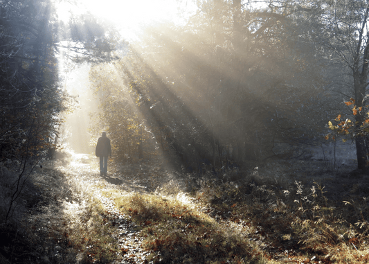 When Personal Disaster Strikes: Navigating the Journey of Loss