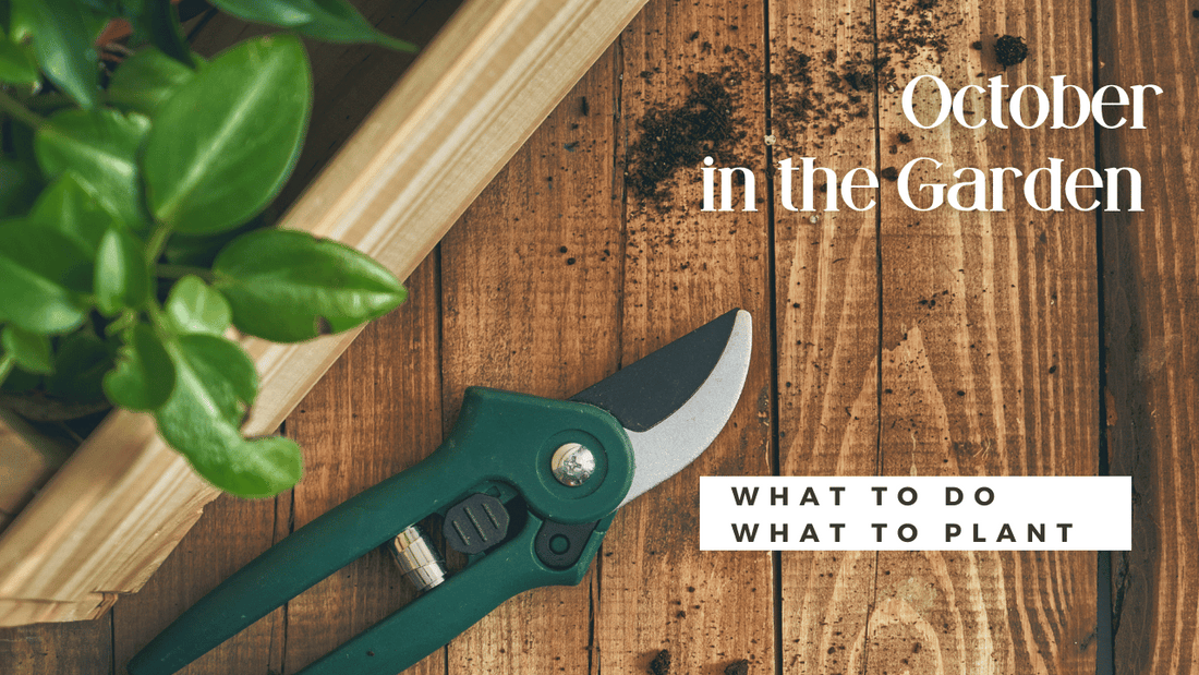 Your October Gardening Guide Using Hardiness Zones