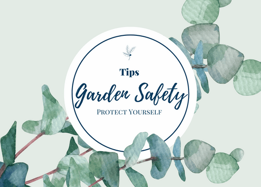 Stay Safe While Gardening: Simple Tips for Everyone