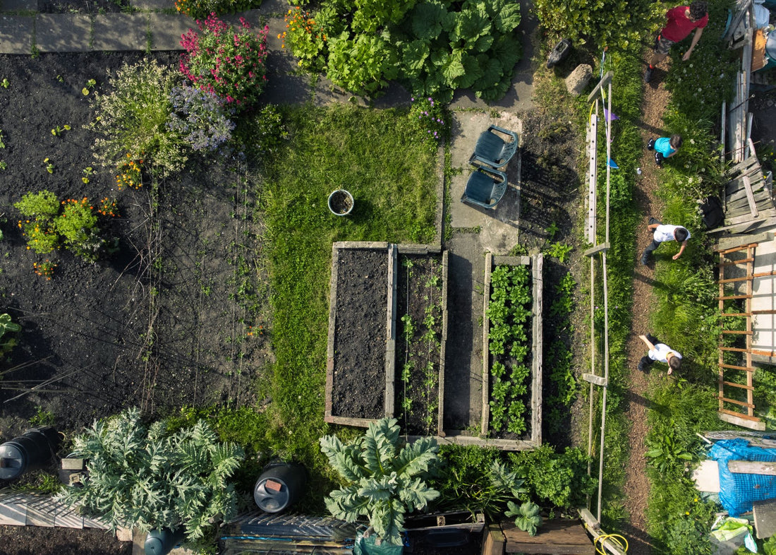 10 Steps to Self-Sufficiency: Building Independence, One Step at a Time