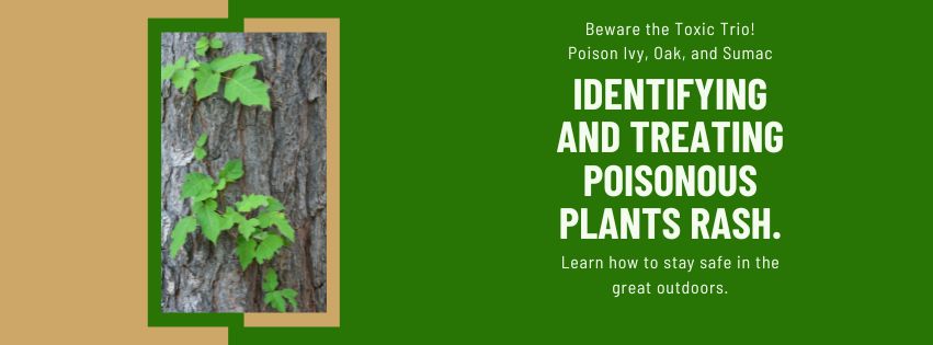 Beware the Toxic Trio: Poison Ivy, Oak, and Sumac