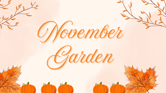 November Garden Planning: From Snow Cover to Southern Heat