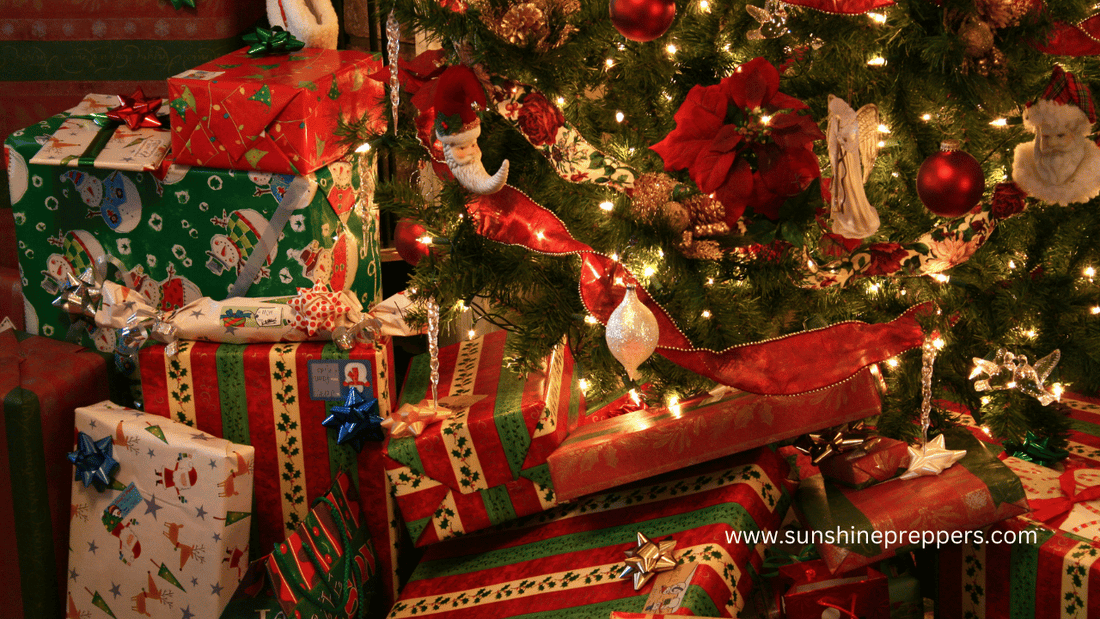 7 Best Gift Ideas for Children: Prepper Edition