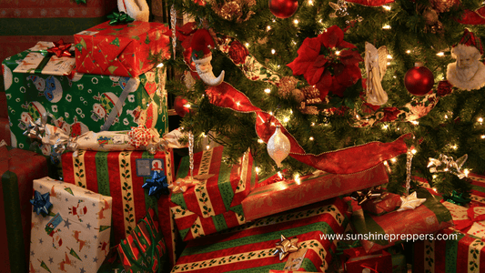 7 Best Gift Ideas for Children: Prepper Edition