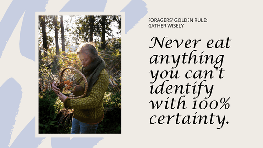 A Beginner's Guide to 10 Plants to Avoid When Foraging