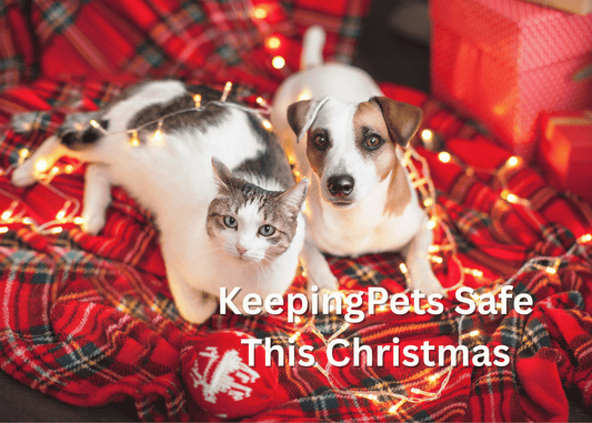 Christmas Pet Safety: Keep Dogs and Cats Safe:  Toxic Foods, Decorations & Emergency Tips
