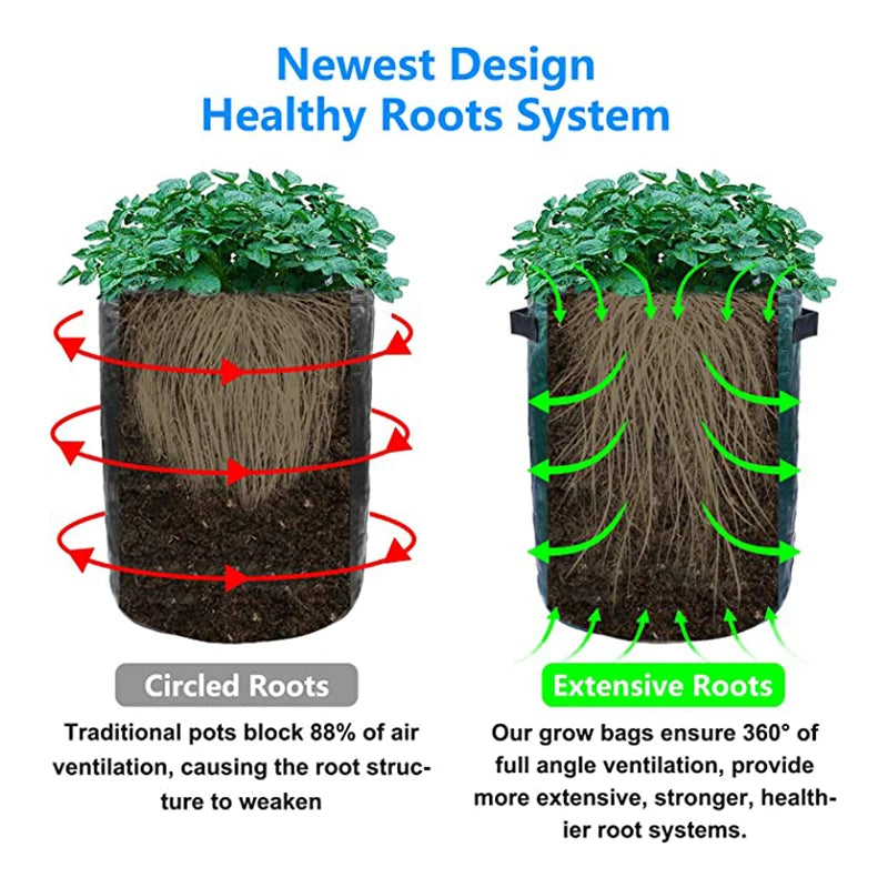 This picture shows how plants grow in a traditional pot which blocks air ventilation vs the extensive root system of plants using a grow bag.