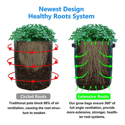 This picture shows how plants grow in a traditional pot which blocks air ventilation vs the extensive root system of plants using a grow bag.