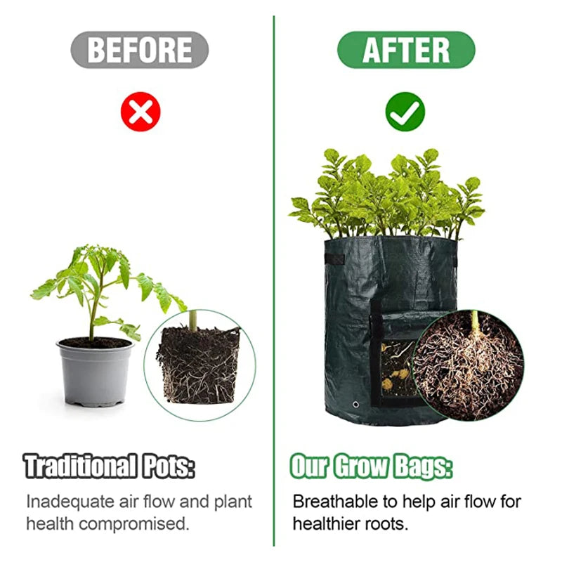 This pictures compares a plant grown in a traditional pot vs. the grow bag.  The grow bag has a very healthy plant!