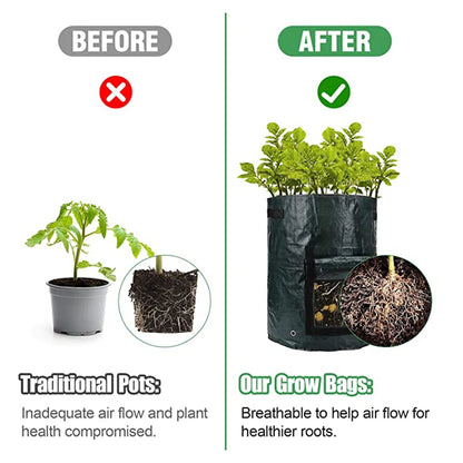 This pictures compares a plant grown in a traditional pot vs. the grow bag.  The grow bag has a very healthy plant!