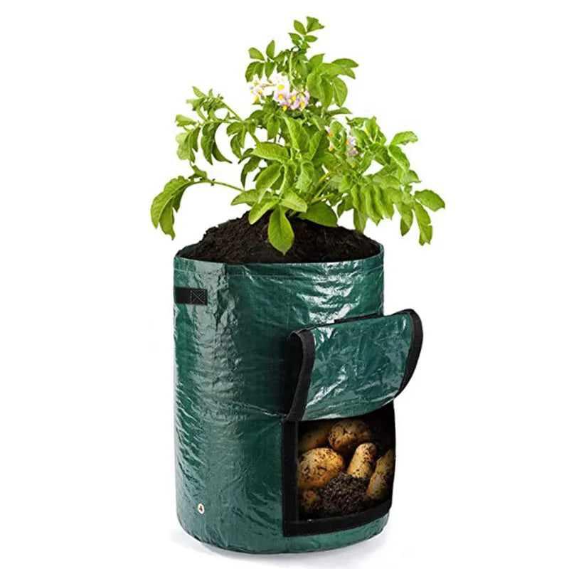 The grow bag is available in green.