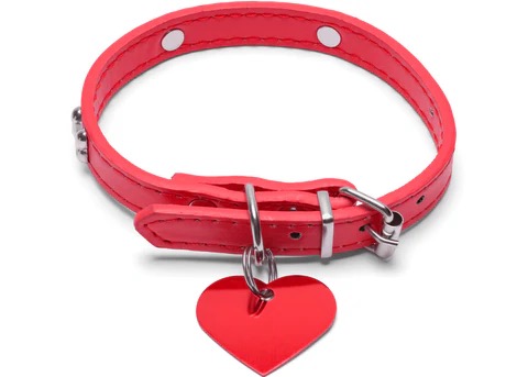 Red pet collar with ID tag for holiday pet safety and identification
