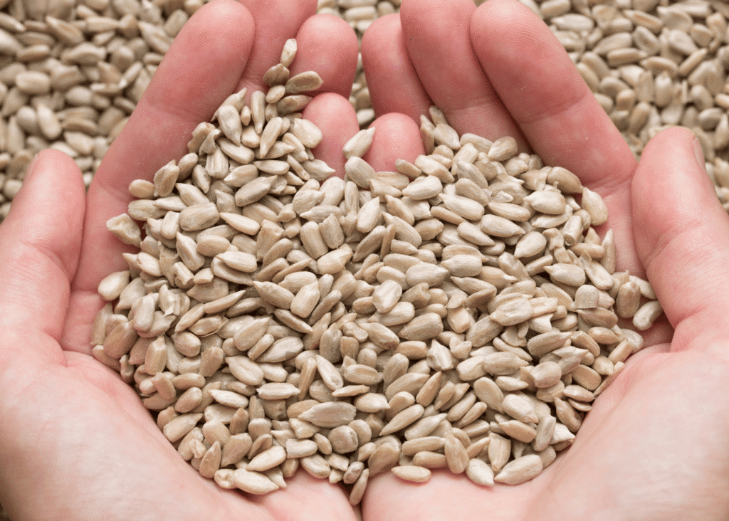 hands holding seeds