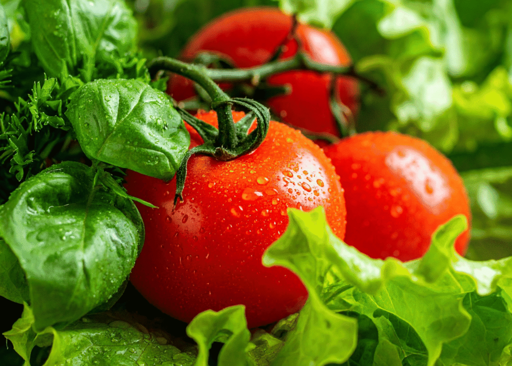 vine ripened tomatoes
