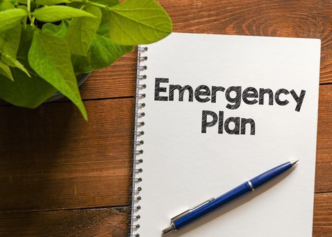 a spiral notebook with the words "Emergency Plans" on a wood table with a pen on the notebook and a plant staged by the notebook