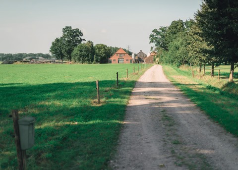 dirt driveway to home