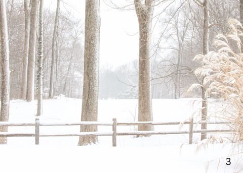 a view of a very snowy day with accumulating snow on a fence and the ground