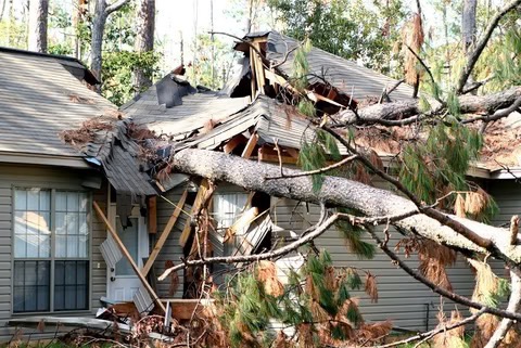 a tree fell on a house during a storm...the aftermath