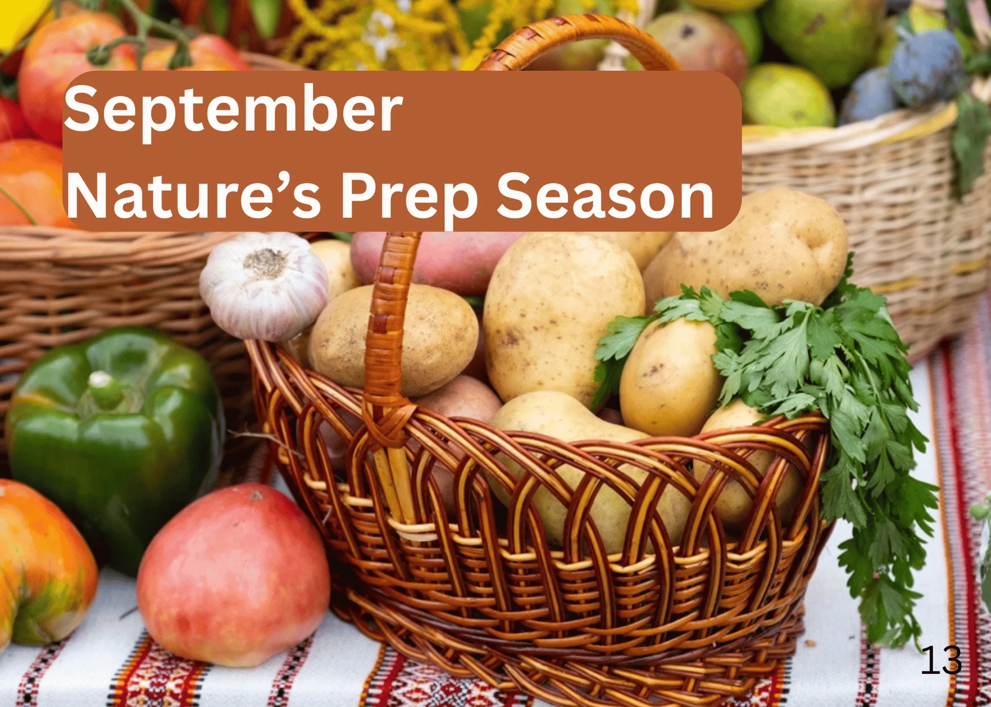 a basket filled with fresh vegetables with the words "September - Nature's Prep Season"